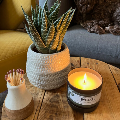 boodles pet friendly candle