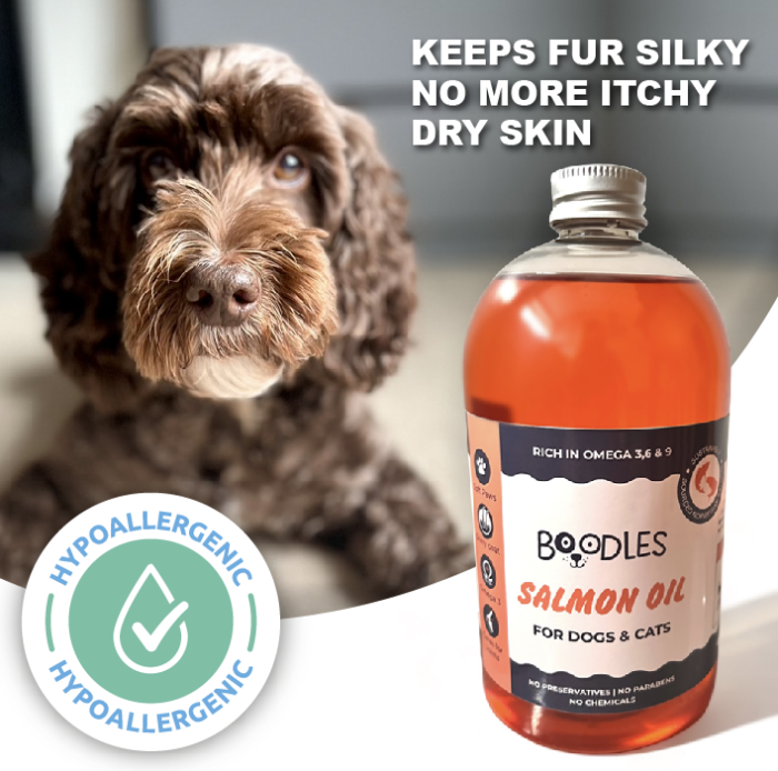 Boodles Premium Salmon Oil for Dogs: Packed with Omega 3 & 6