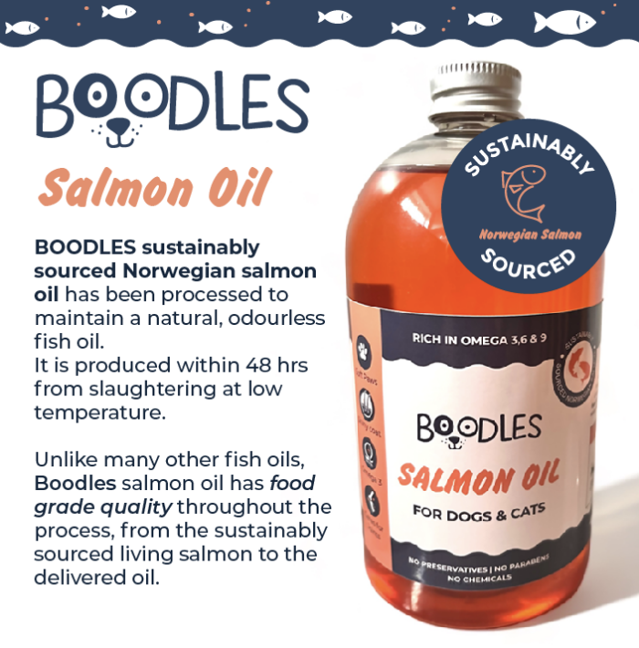 Boodles Premium Salmon Oil for Dogs: Packed with Omega 3 & 6