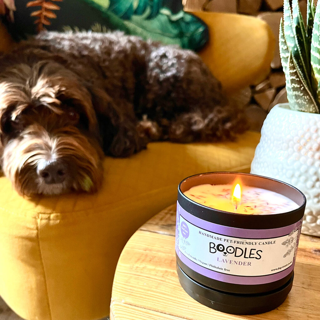 boodles pet friendly candle lavender